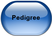 Pedigree