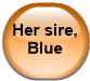 Her sire, Blue