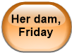Her dam, Friday