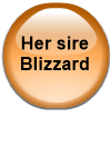 Her sire Blizzard