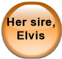 Her sire, Elvis