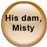 His dam, Misty