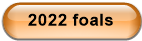 2022 foals