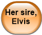 Her sire, Elvis