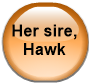 Her sire, Hawk