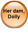 Her dam, Dolly