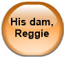 His dam, Reggie
