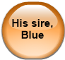 His sire, Blue