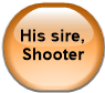His sire, Shooter