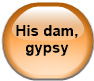 His dam, gypsy