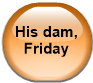 His dam, Friday