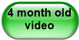 4 month old video
