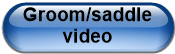 Groom/saddle video
