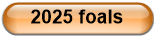 2025 foals