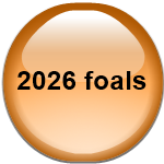 2026 foals