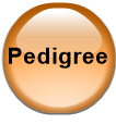 Pedigree