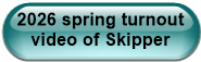 2026 spring turnout video of Skipper