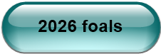 2026 foals