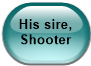 His sire, Shooter
