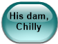 His dam, Chilly