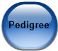 Pedigree