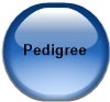 Pedigree