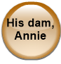 His dam, Annie
