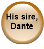 His sire, Dante