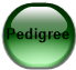 Pedigree