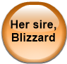 Her sire, Blizzard