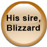 Her sire, Blizzard