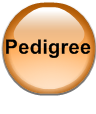 Pedigree