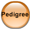 Pedigree