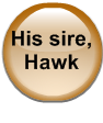 His sire, Hawk