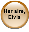 Her sire, Elvis